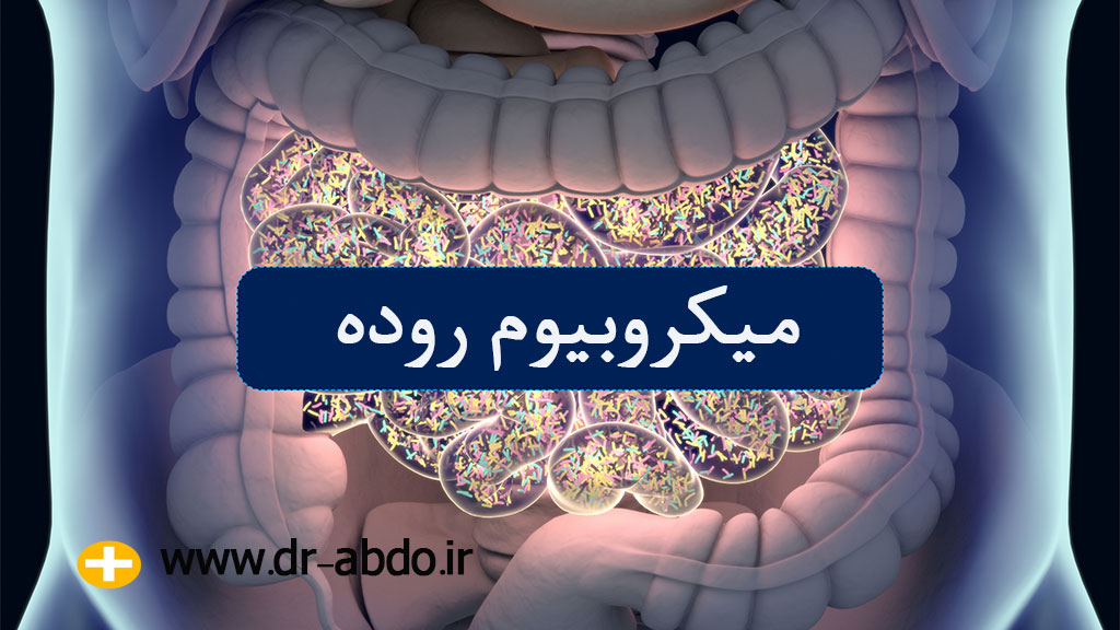 نقش میکروبیوم روده در سلامت گوارش